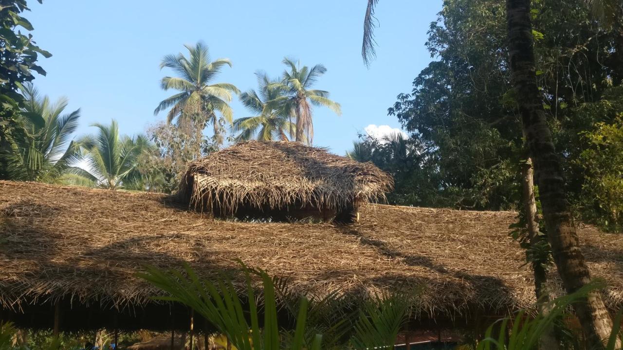 Kings Villa Resort Palolem Esterno foto