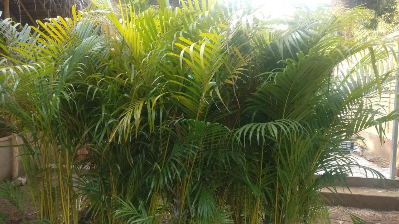 Kings Villa Resort Palolem Esterno foto